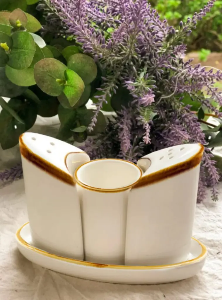 Porceletta-Ivory-Mocha-Porcelain-Condiment-Set-4Pieces-Lifestyle-02.jpg