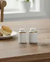 Porceletta-Ivory-Mocha-Porcelain-Salt-Pepper-Set-Lifestyle-1.jpg