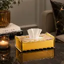vague-gold-acrylic-tissue-box-clear-cover-lifestyle-27-cm.jpg