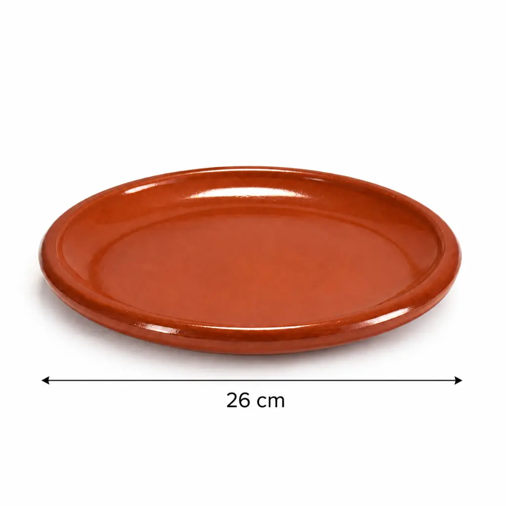 Arte-Regal-Brown-Clay-Steak-Thick-Plate-26cm-Detail.jpg