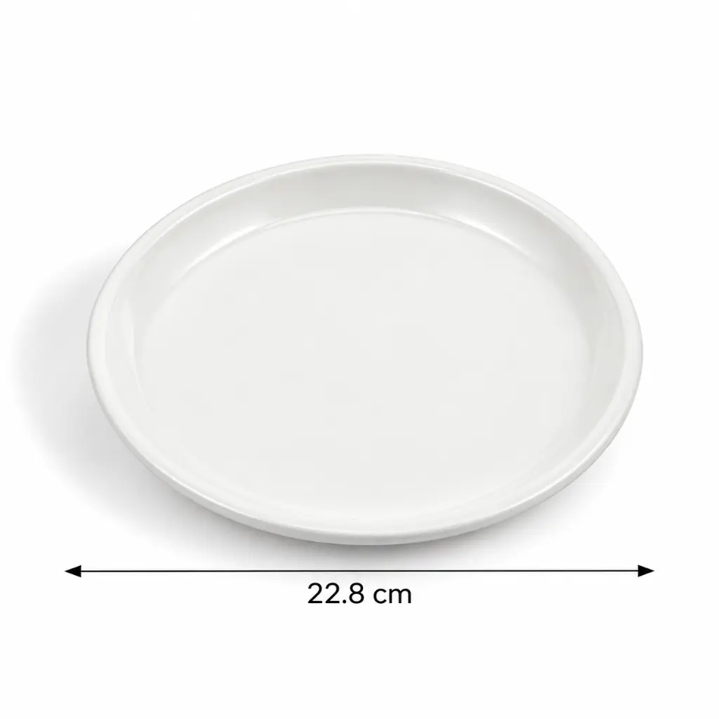 Porceletta-Ivory-Porcelain-Round-Flat-Plate-22.8cm-9Inch-Detail.jpg