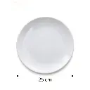 Porceletta-Ivory-Porcelain-Thick-Rimmed-Plate-25cm-10Inch-Detail.jpg