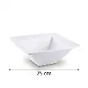 Porceletta-Ivory-Porcelain-Square-Bowl-with-Double-Rim-25cm-Detail.jpg