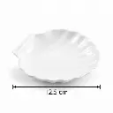 Porceletta-Ivory-Porcelain-Shell-Dish-12.5cm-Detail.jpg