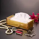 vague-gold-acrylic-tissue-box-clear-cover-lifestyle-2-27-cm.jpg