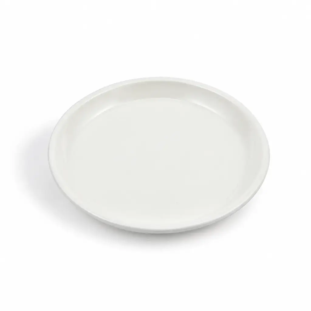 Porceletta Ivory Porcelain Round Flat Plate 9"