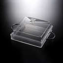 Vague Acrylic Clear Serving Set 29 cm x 29 cm