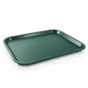 Vague Fast Food Tray Plastic 45 cm x 35 cm Green
