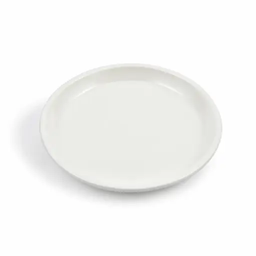 [08-1564] Porceletta Ivory Porcelain Round Flat Plate 9"