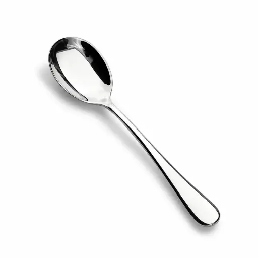 [13-787C] Vague Stainless Steel Plano Serving Spoon